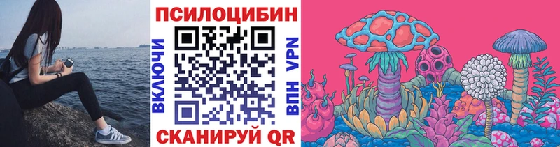 mega ссылка  Новоуральск  Псилоцибиновые грибы мицелий 